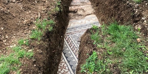 В Италии обнаружили древнеримскую мозаику под виноградником