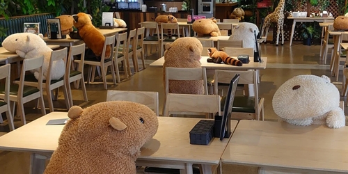 Японский зоопарк использует игрушки животных для разметки дистанции между гостями