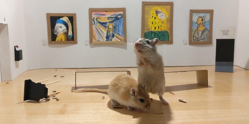 Пара художников построила миниатюрный музей для своих песчанок