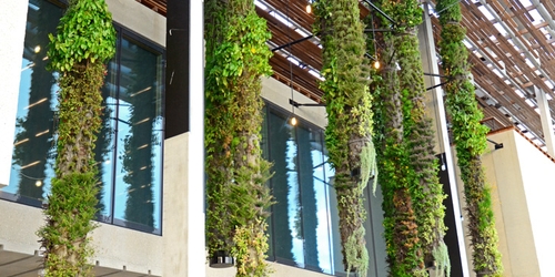 Крупнейший художественный музей Майами уволил половину сотрудников