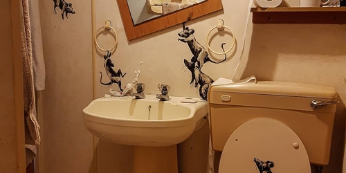 Бэнкси поделился новой работой, завершенной на самоизоляции